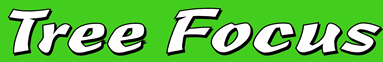 Arborist Auckland