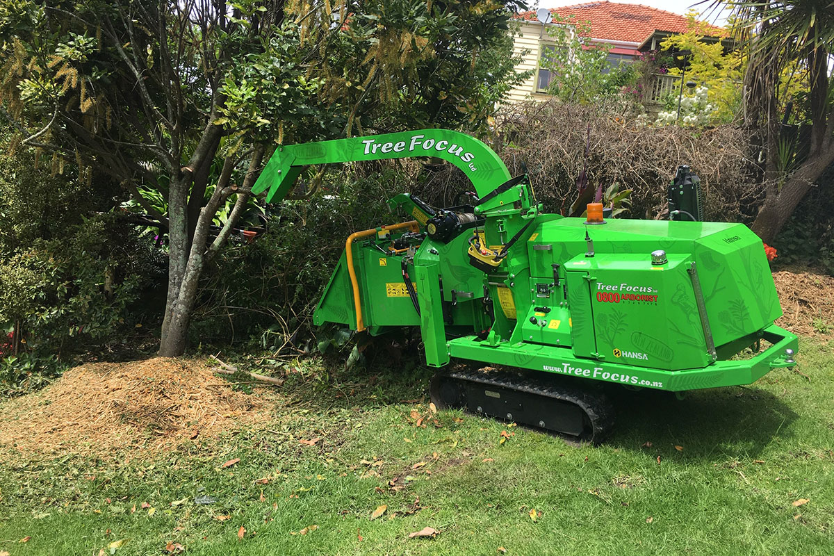 tree felling